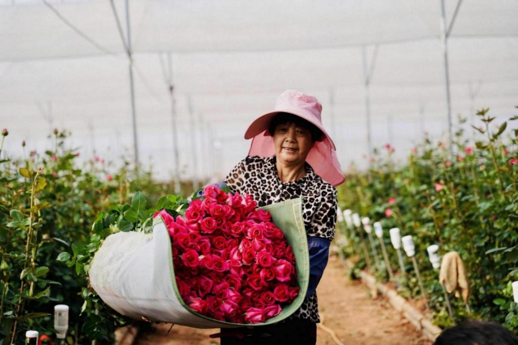 拼多多亮眼業績背后:“內生價值”如何驅動電商發展