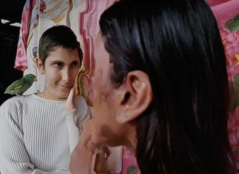 影展精粹:動(dòng)物王國(guó)里的過(guò)往人生