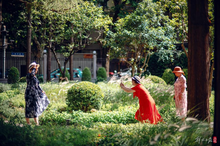 衡山路新添一景,賞花,用餐,咖啡,購物……法式小花園打開方式多