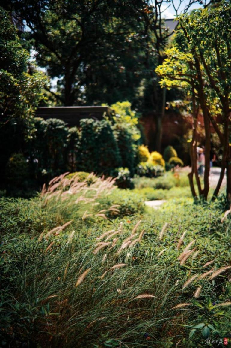 衡山路新添一景,賞花,用餐,咖啡,購物……法式小花園打開方式多