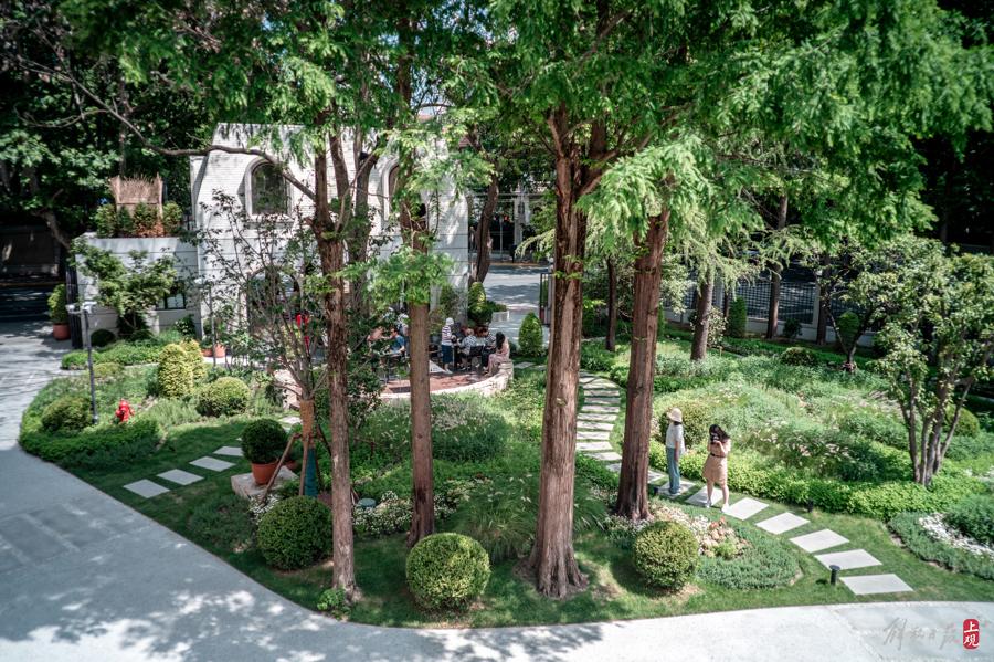 衡山路新添一景,賞花,用餐,咖啡,購物……法式小花園打開方式多