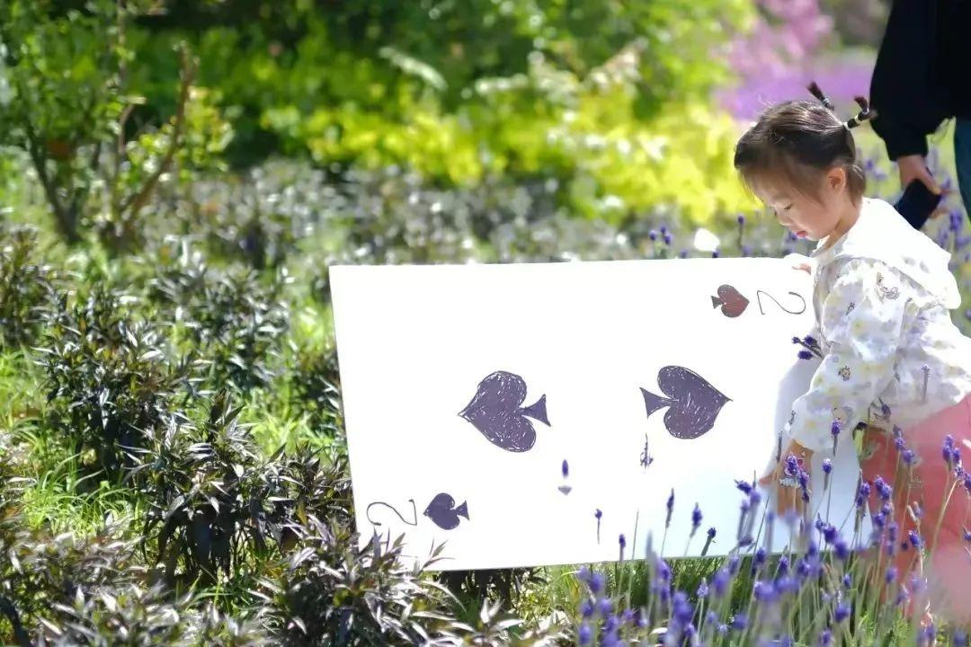 家庭文化節(jié),開到了“藍色城堡”里!