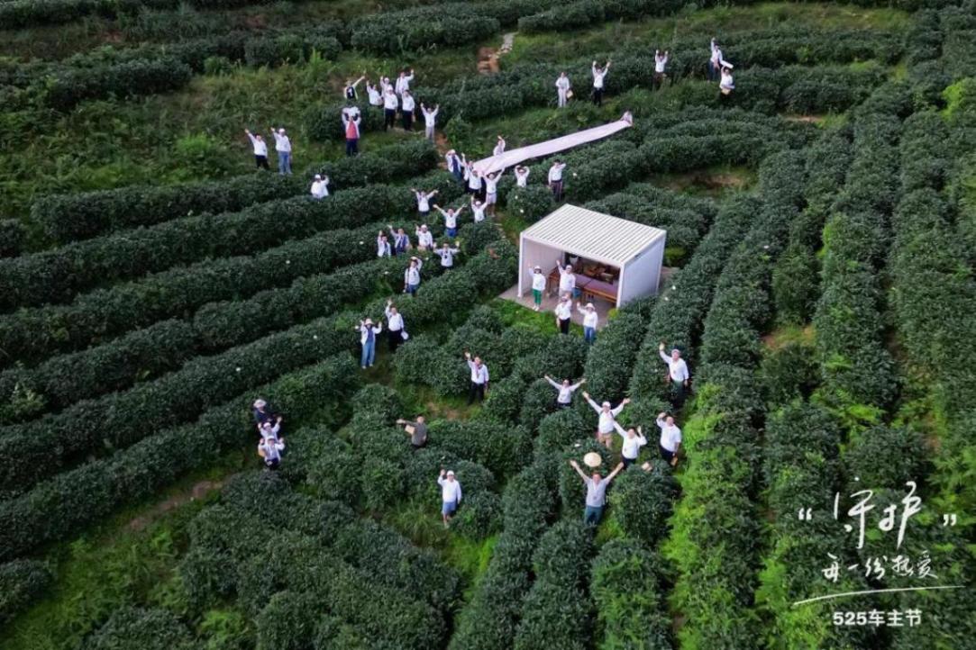 沃爾沃汽車525車主節狂歡進行時,線下門店AED設備全面到位!