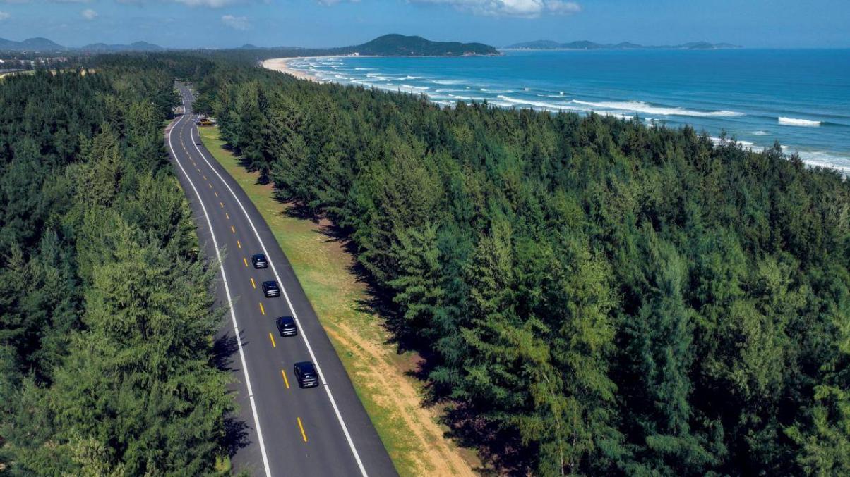 阿爾法T5 vs宋PLUS EV:誰才是家用車市場的王者?