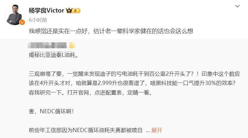 比亞迪:獵殺時刻