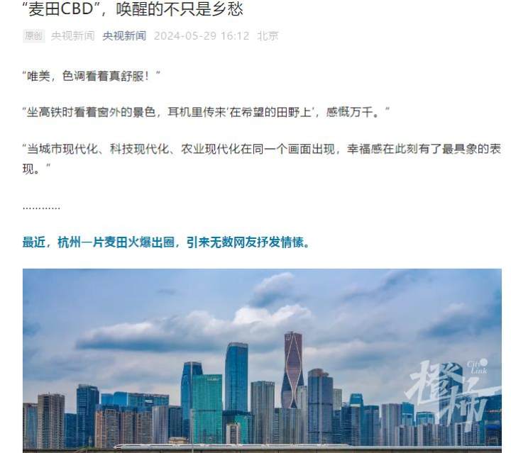 杭州“麥田CBD”火遍全網:收成有望超300噸,20天內種高粱