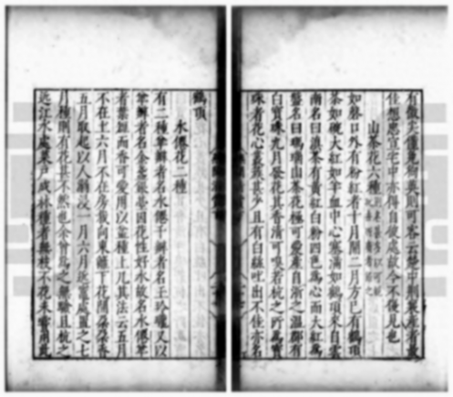 誰人首載辣椒?——高濂《遵生八箋》“番椒”考