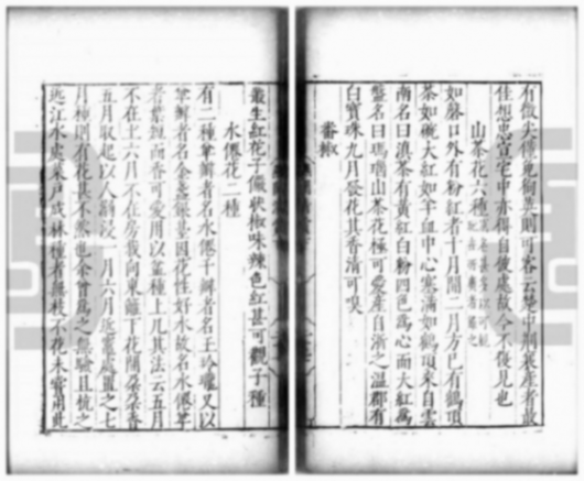 誰人首載辣椒?——高濂《遵生八箋》“番椒”考