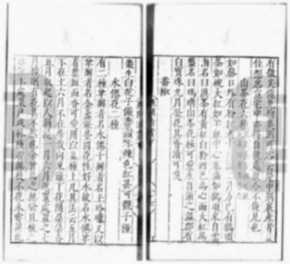 誰人首載辣椒?——高濂《遵生八箋》“番椒”考