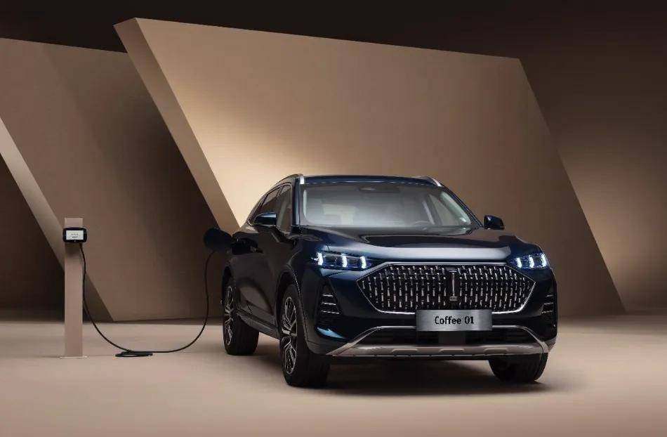 歐洲拉閘,中資關(guān)門,出海哪里才是出路?