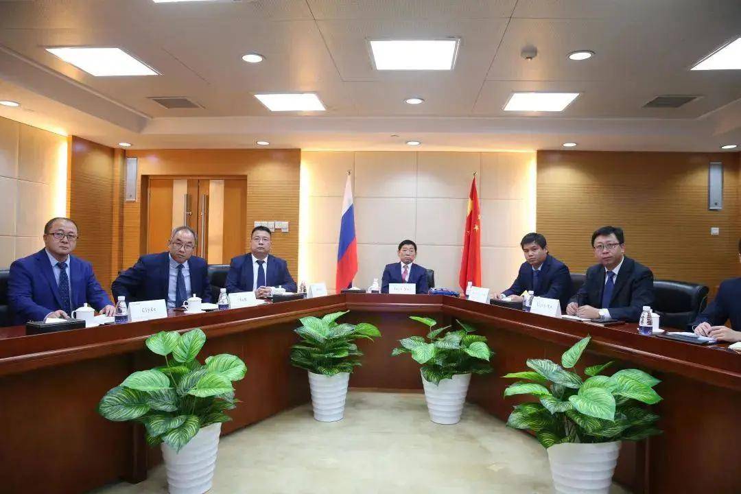 歐洲拉閘,中資關(guān)門,出海哪里才是出路?