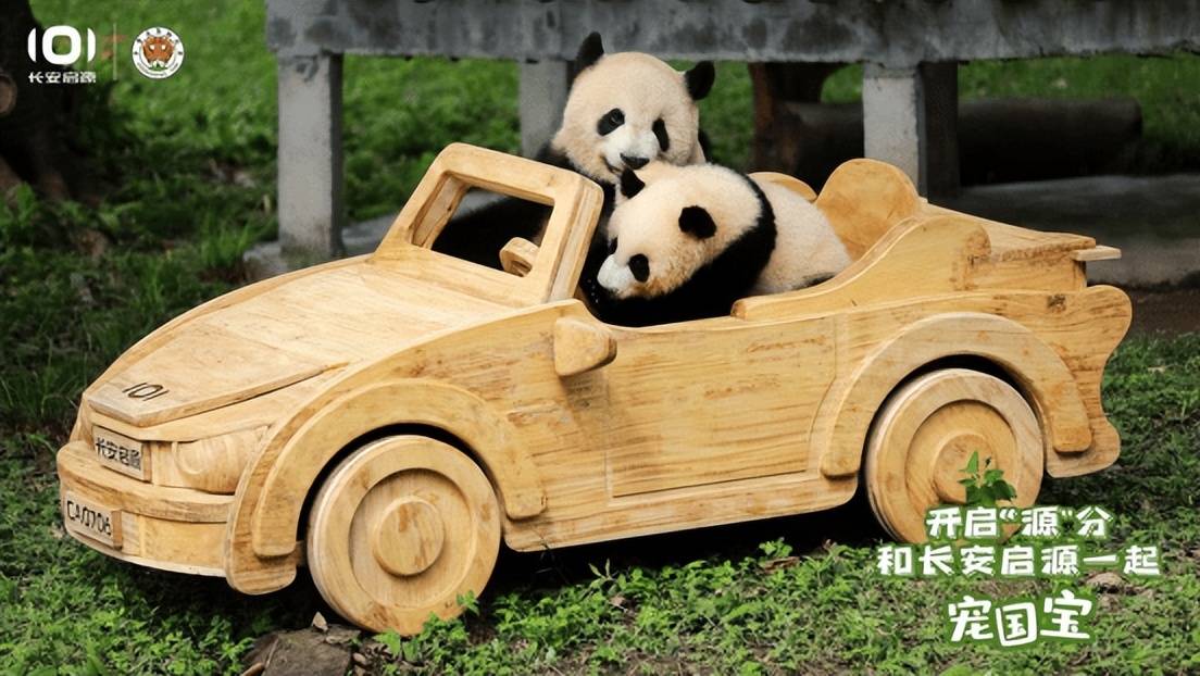 認養熊貓“莽燦燦”,長安啟源開啟“源”分
