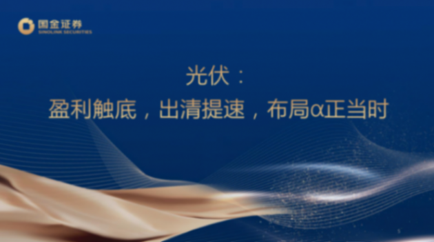 國金證券:新能源(光儲風氫)行業2024中期策略:降碳堅定不移