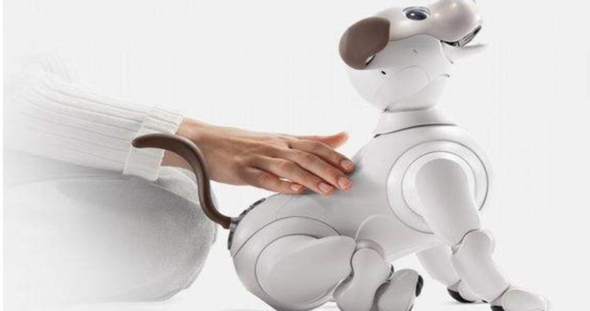 徹底卷死!12 1T普及風(fēng)暴來了!努比亞Z50S Pro死磕