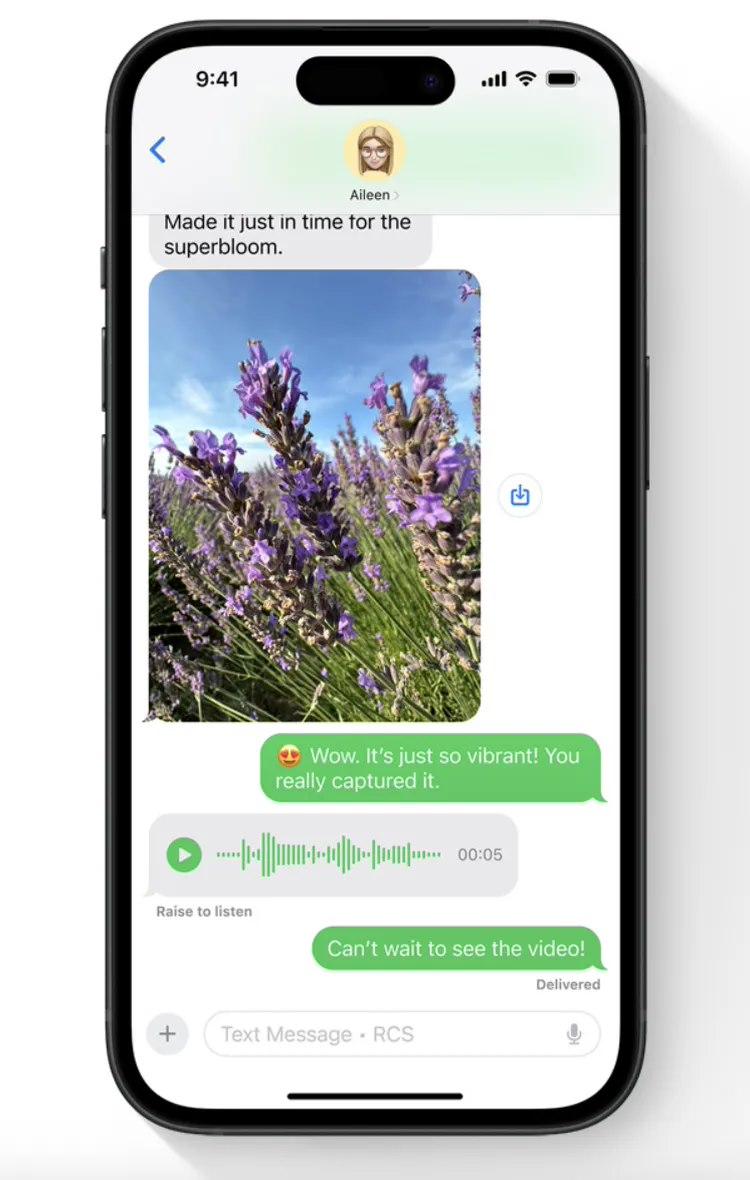 iOS 18終于支持RCS標(biāo)準(zhǔn),蘋果被指表現(xiàn)冷淡