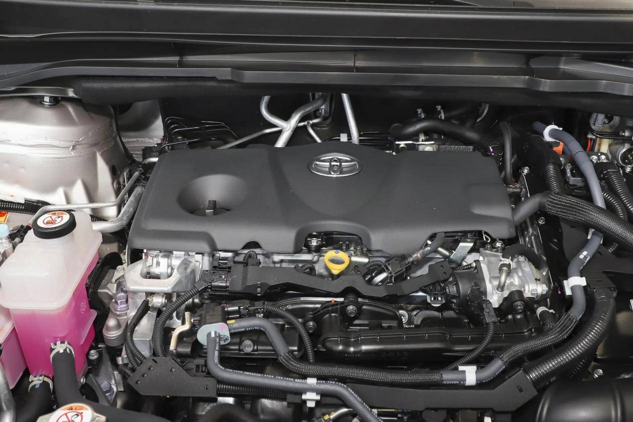 ab7a35cc088e2dcfc789223702eede96~2508x0