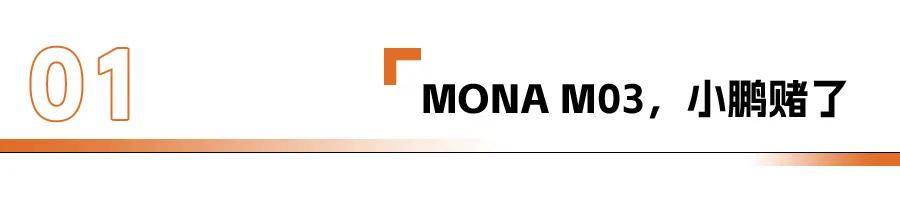 小鵬MONA M03:不成功,便成仁?