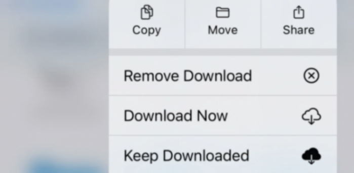 蘋果iPadOS 18“文件”應用隱藏功能:可格式外置磁盤