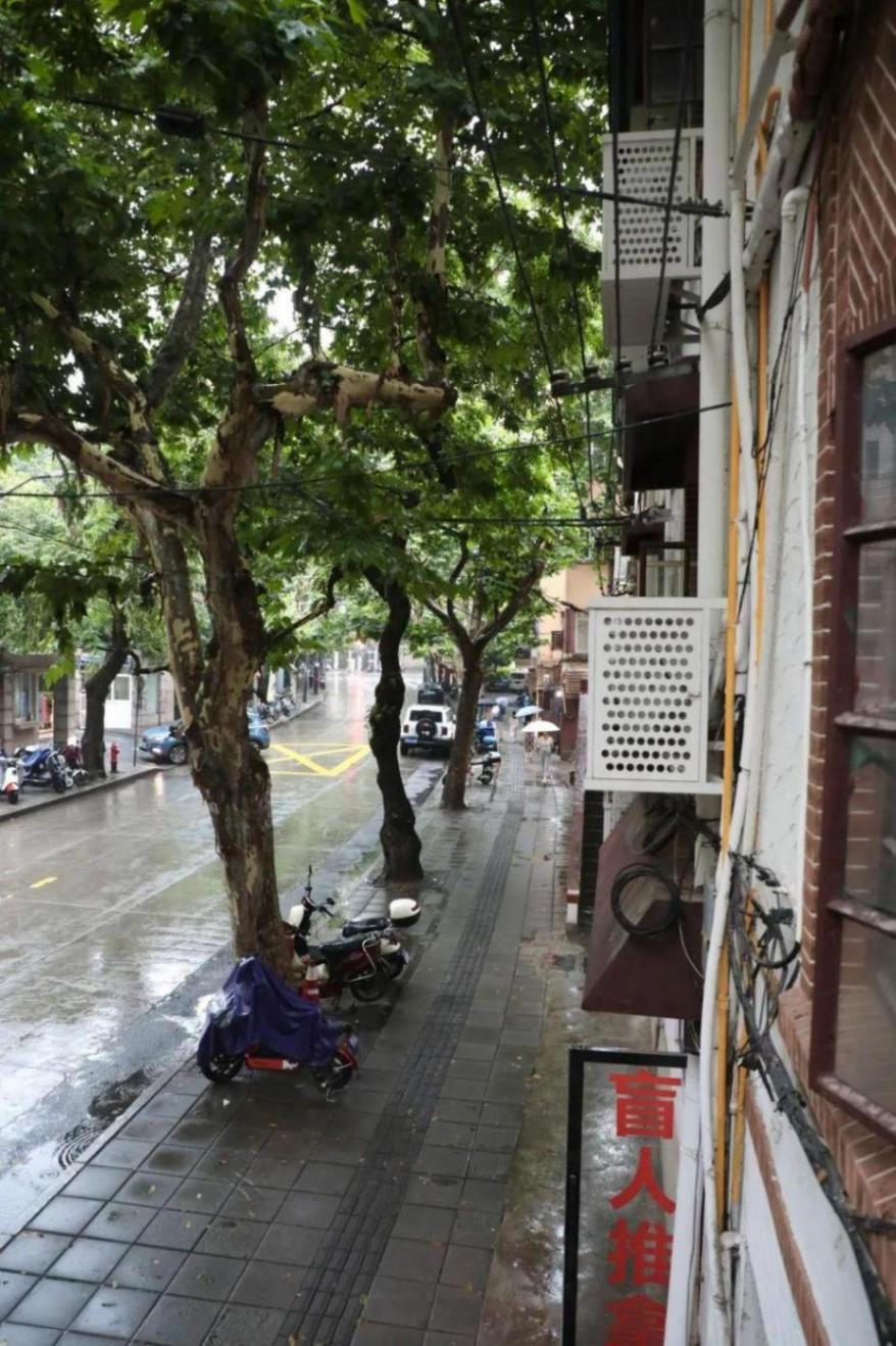 來上海徐匯,路過“玫瑰的故事”