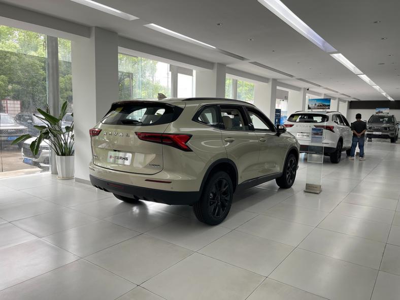 我不做大哥好多年,重回榜一有點難,全新哈弗H6實拍