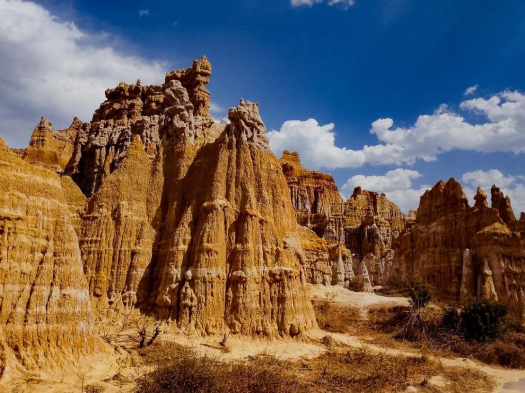 高考學子千元預算購機指南:真我V60系列陪你共度四年青蔥歲月