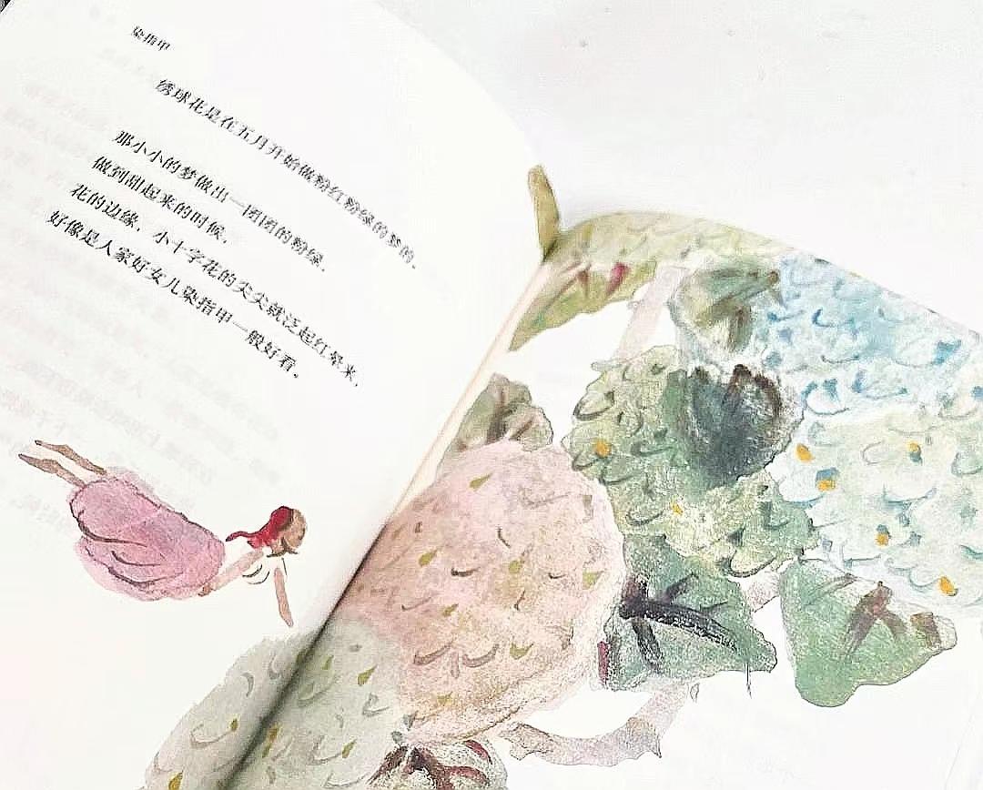 蔡皋《人間任天真》:那些生活中易于忽視的美與靈光乍現