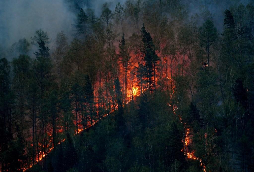 北極圈野火肆虐,專家稱其為地球的“吶喊”