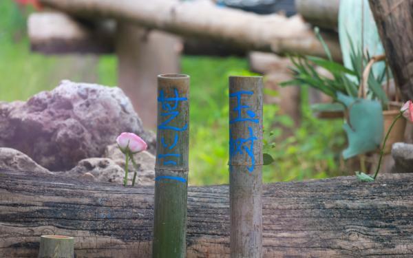 為熊貓界“三大頂流”慶生,粉絲通宵排隊