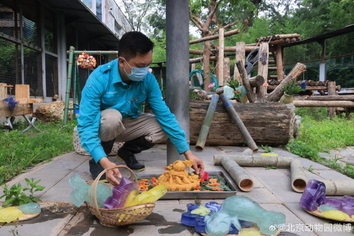 為熊貓界“三大頂流”慶生,粉絲通宵排隊