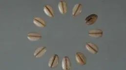 西漢長沙國漁陽王后和她的時代:看兩千年前的大女主