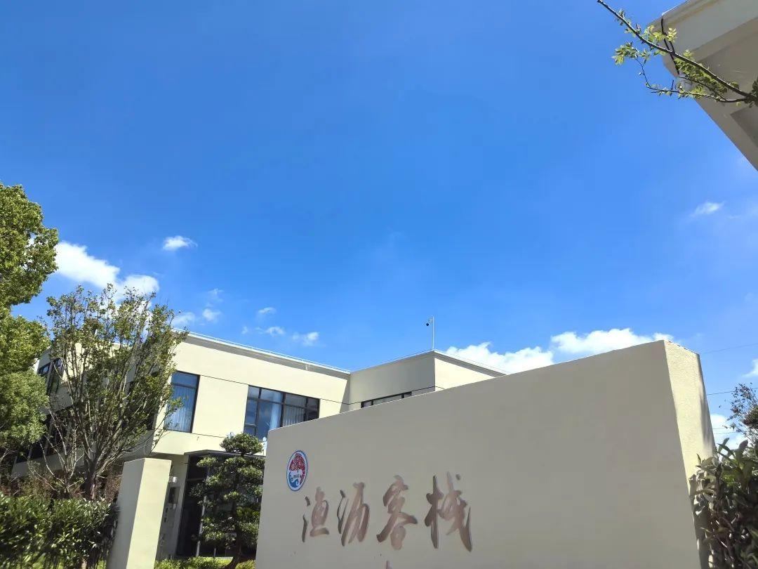 奉賢這個村的盛夏美景照,每一張都像是windows桌布