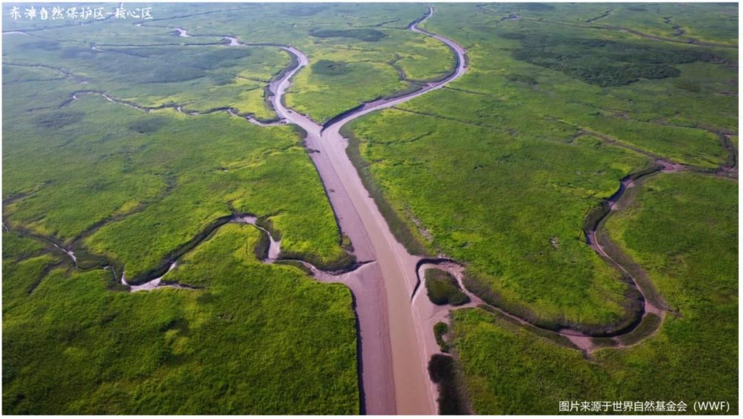 世界遺產社區·崇明富圩典范