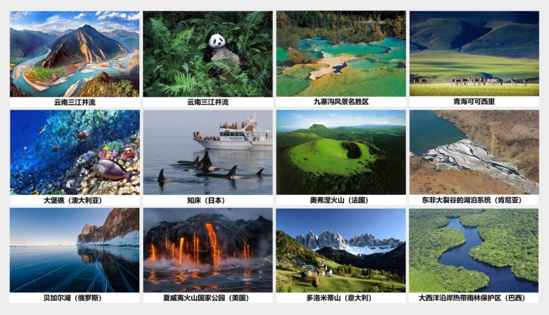 世界遺產社區·崇明富圩典范