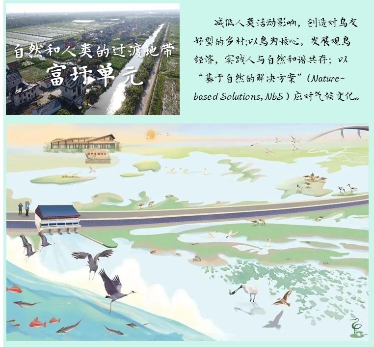 世界遺產社區·崇明富圩典范