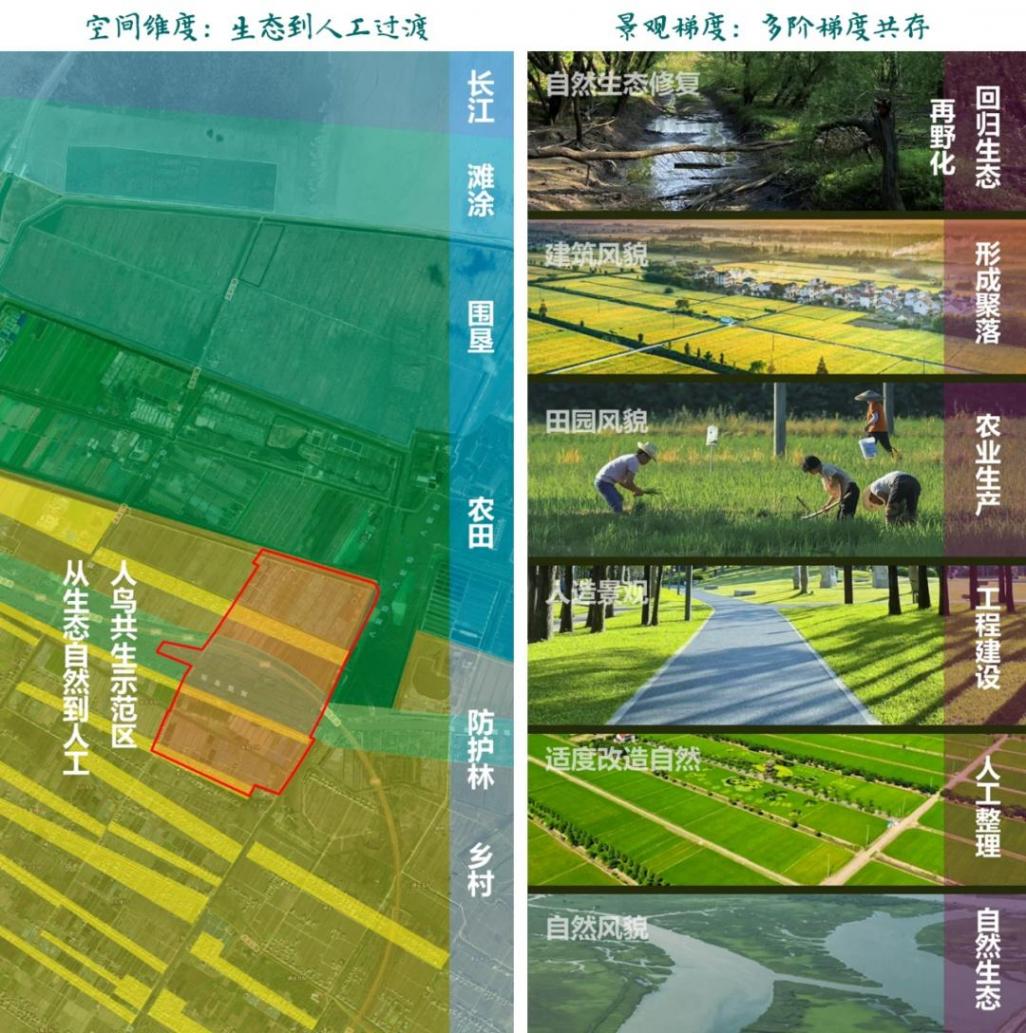 世界遺產社區·崇明富圩典范