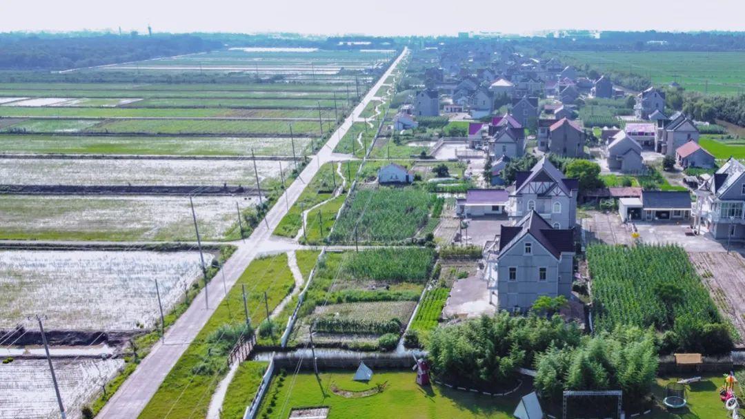 世界遺產社區·崇明富圩典范