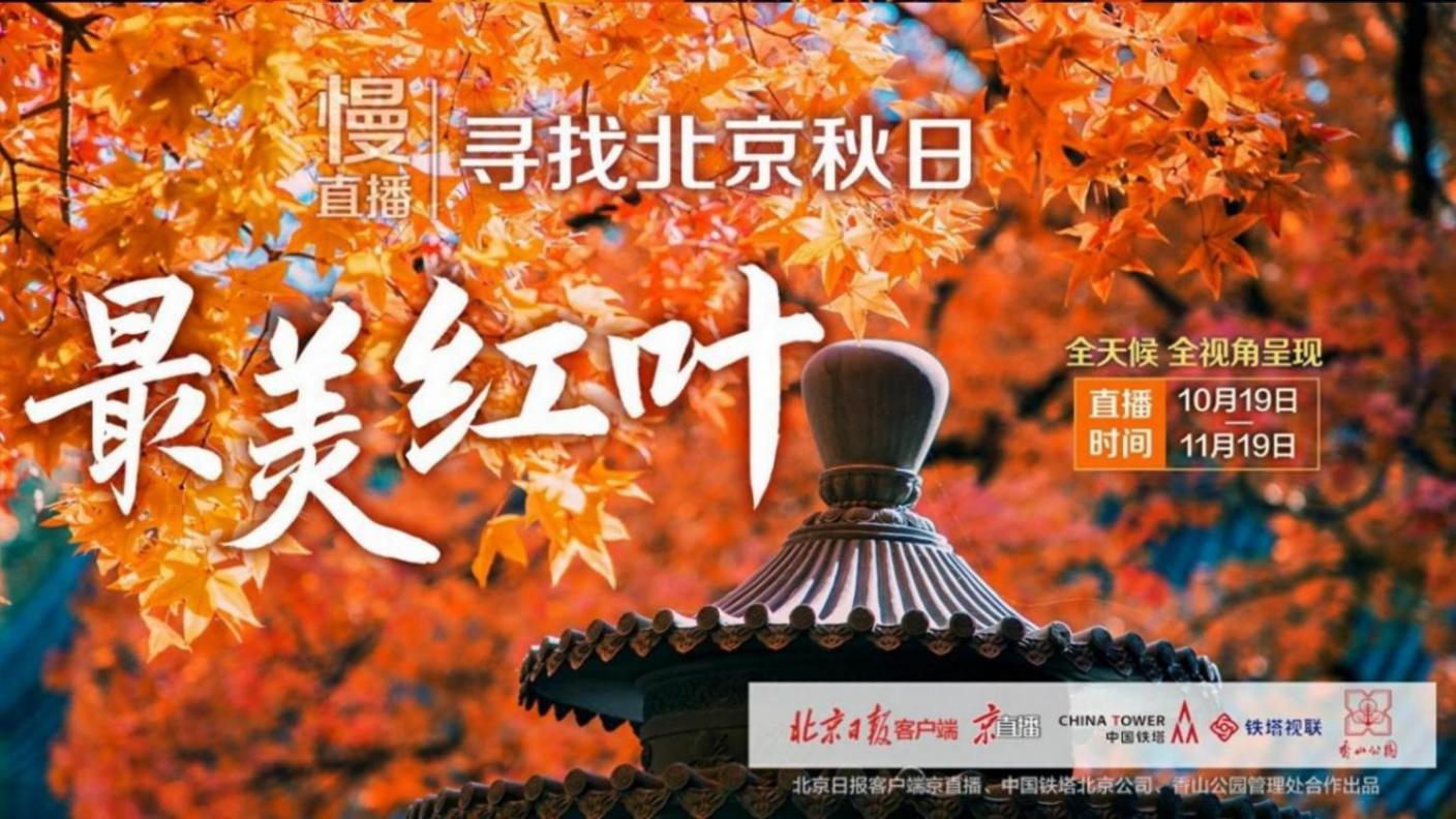 京直播推薦|“尋找北京秋日最美紅葉”慢直播來了!