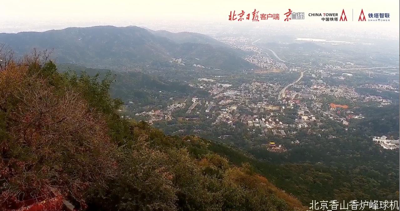 京直播推薦|“尋找北京秋日最美紅葉”慢直播來了!