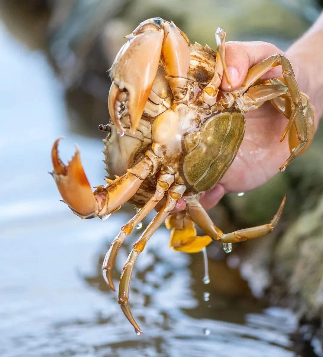 手把手現(xiàn)場教!農(nóng)民朋友玩轉(zhuǎn)電商