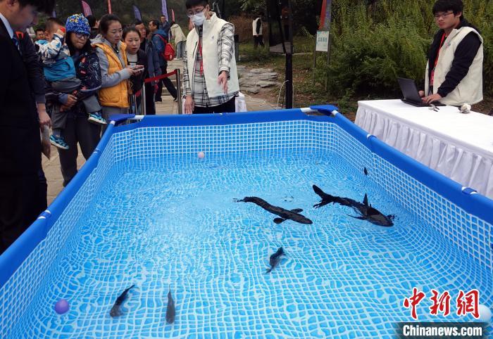 2024中國科學院第七屆科學節舉行 北京主場活動精彩紛呈