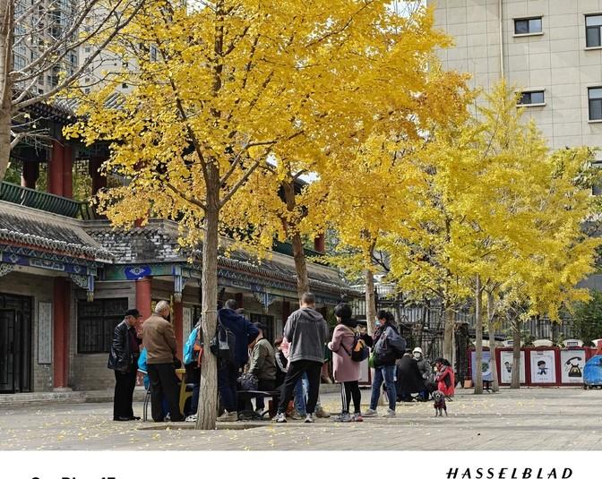 標準版定價Pro級體驗,一加13新鮮開箱