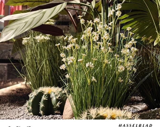 標準版定價Pro級體驗,一加13新鮮開箱