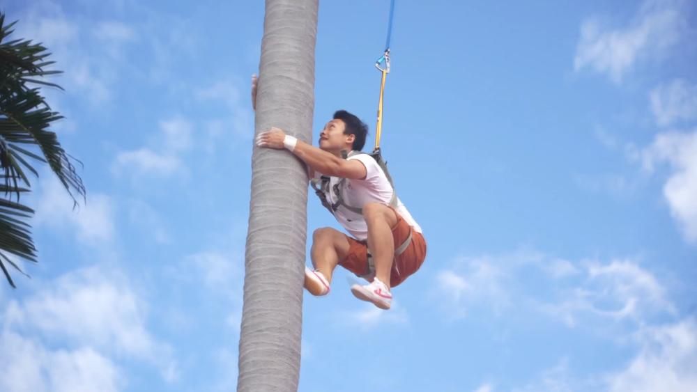 攀椰競速:體驗海南風情 感受體育魅力