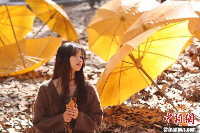 梧桐樹下體驗非遺 東南大學初冬“限定美景”上線