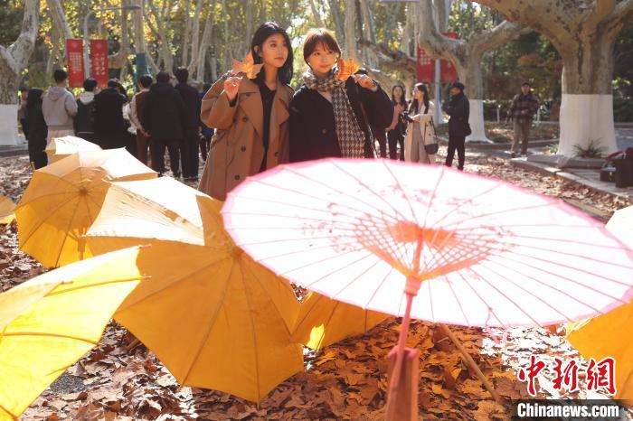 梧桐樹下體驗非遺 東南大學初冬“限定美景”上線