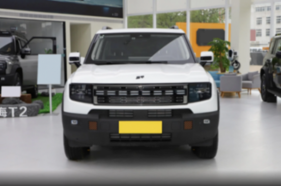 實力更全面,價格更親民,帶你了解捷途山海T1