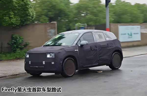 20241125_1732545533324974.jpg 螢火蟲 拷貝.jpg