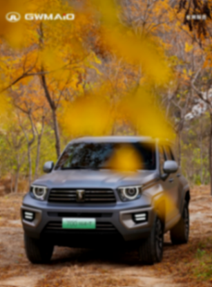 年末購車正當時!坦克700購車政策全解讀,搶搭國補末班車