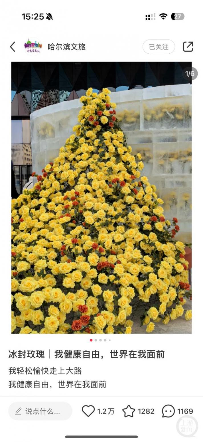 吸引劉亦菲的冰封黃玫瑰3.5小時制成