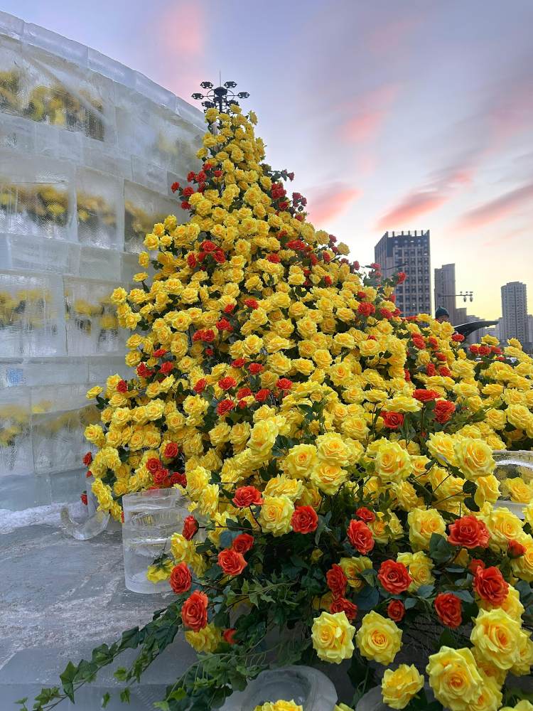 吸引劉亦菲的冰封黃玫瑰3.5小時制成